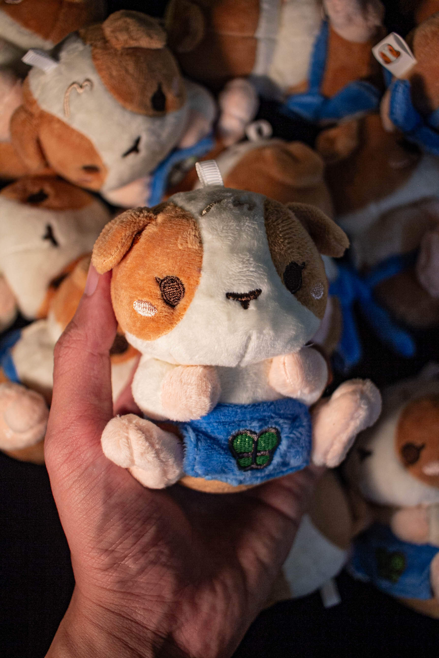 TSUKI:PLUSH – MINISHI